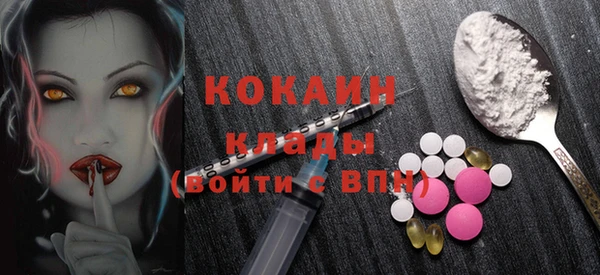 первитин Богданович